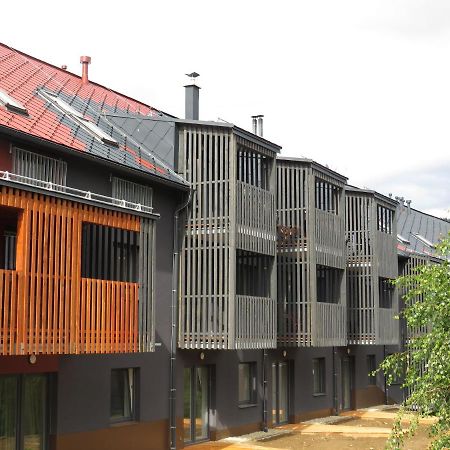 Apartman Honey Dolni Morava Ngoại thất bức ảnh